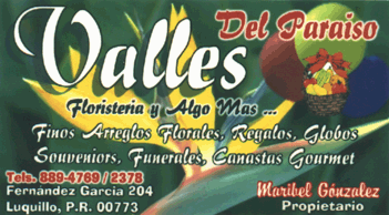 targeta_valles.GIF (48807 bytes)