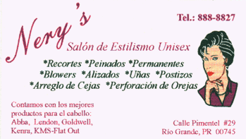 tarjetanerys.gif (22871 bytes)