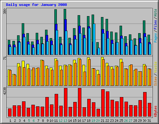 Daily usage for January 2008