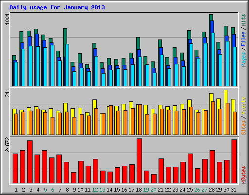 Daily usage for January 2013