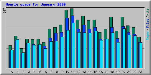 Hourly usage for January 2009