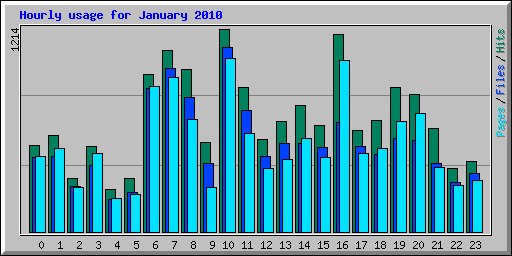 Hourly usage for January 2010