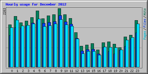 Hourly usage for December 2012