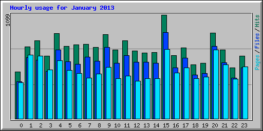 Hourly usage for January 2013