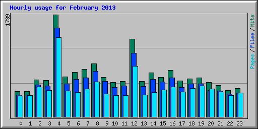 Hourly usage for February 2013