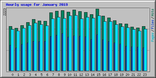 Hourly usage for January 2019