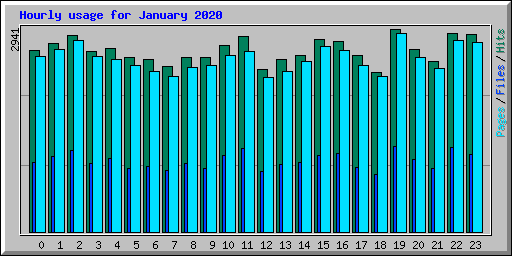 Hourly usage for January 2020