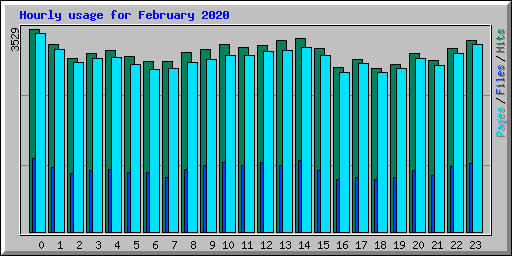 Hourly usage for February 2020