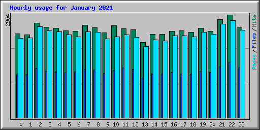 Hourly usage for January 2021