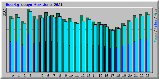 Hourly usage for June 2021