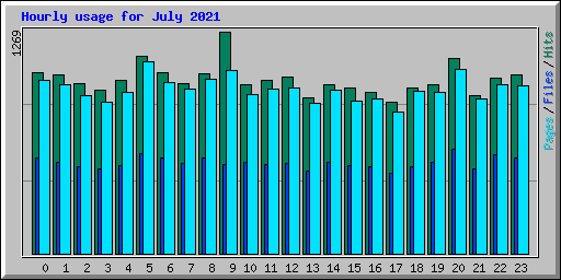 Hourly usage for July 2021